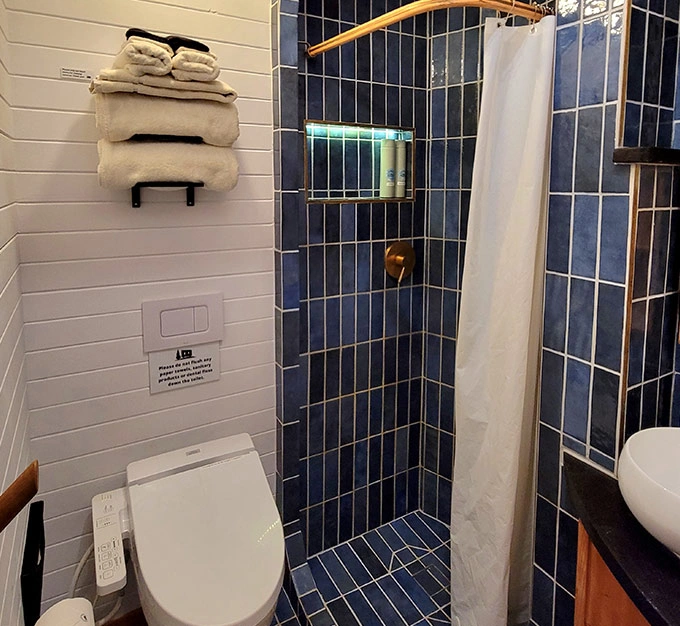 Blue Tiled Shower and Bathroom