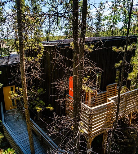 Cabin Architecture Among the Trees