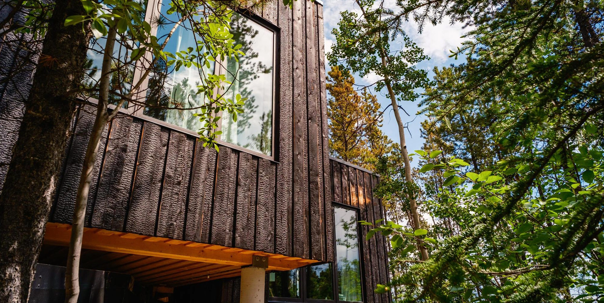 Cabin Architecture Among the Trees