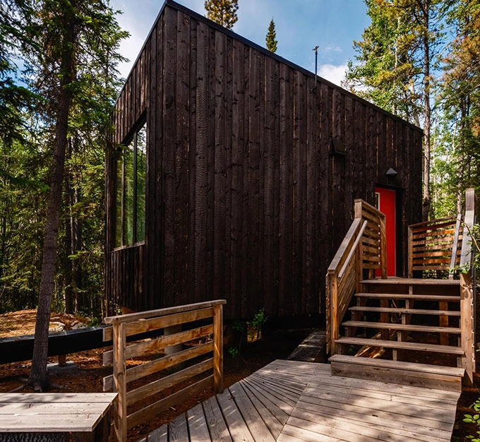 Forest Boardwalk Leading to Red Cabin