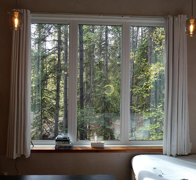 Forest View from Green Door