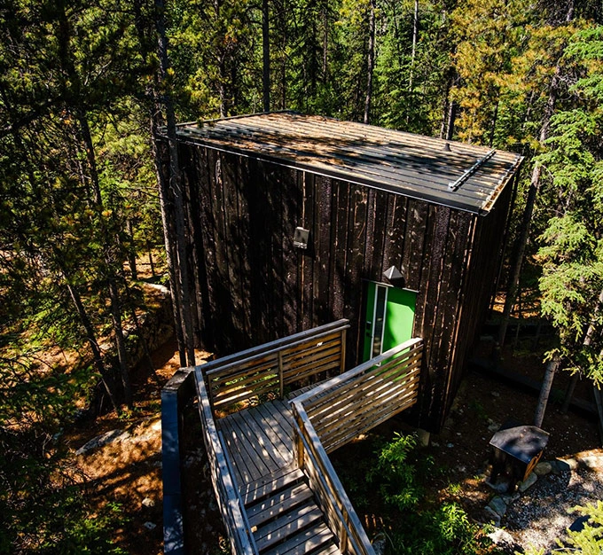 Green Cabin Nestled in the Forest