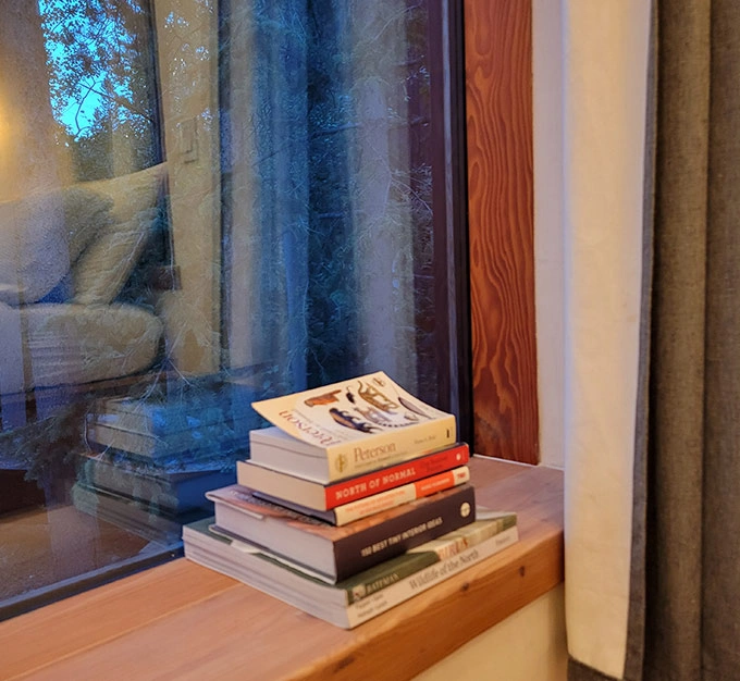 Northern Reading Collection by the Window