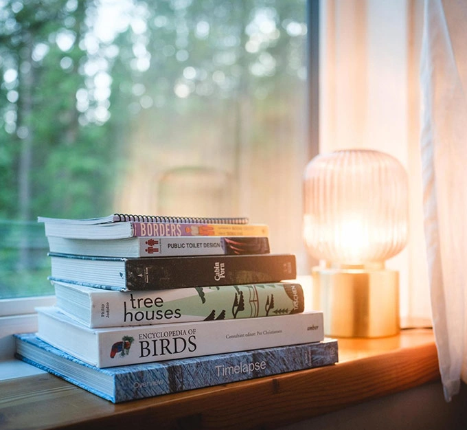 Northern Reading Collection by the Window
