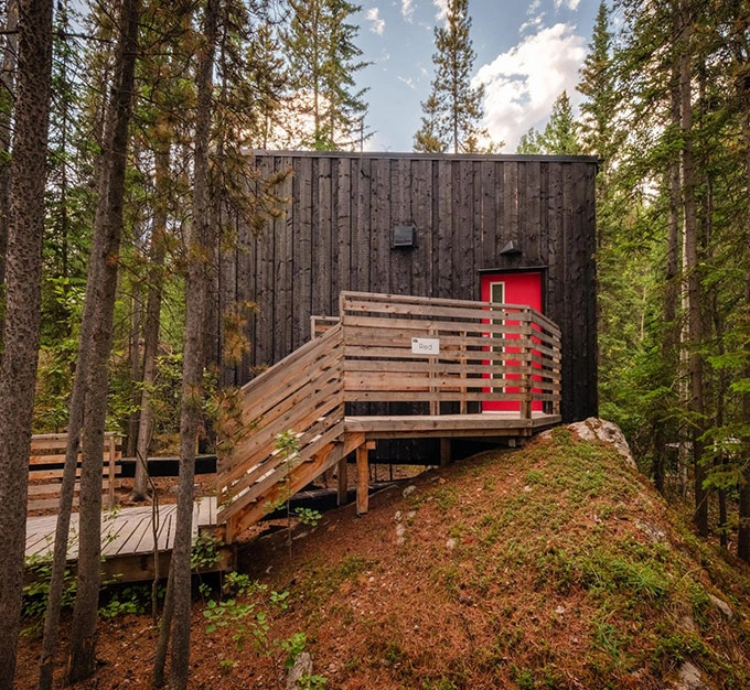 Red Cabin Entrance Surrounded by Forest