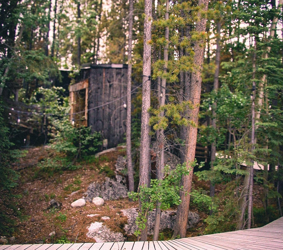 Forest Boardwalk Leading to Sauna