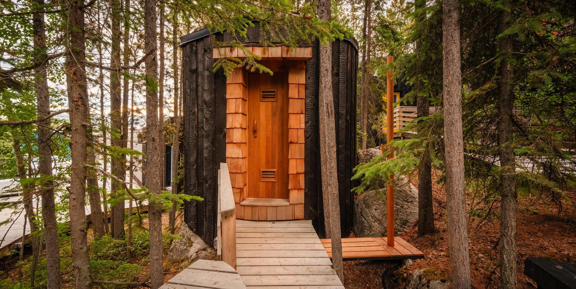 Forest Boardwalk Leading to the Sauna