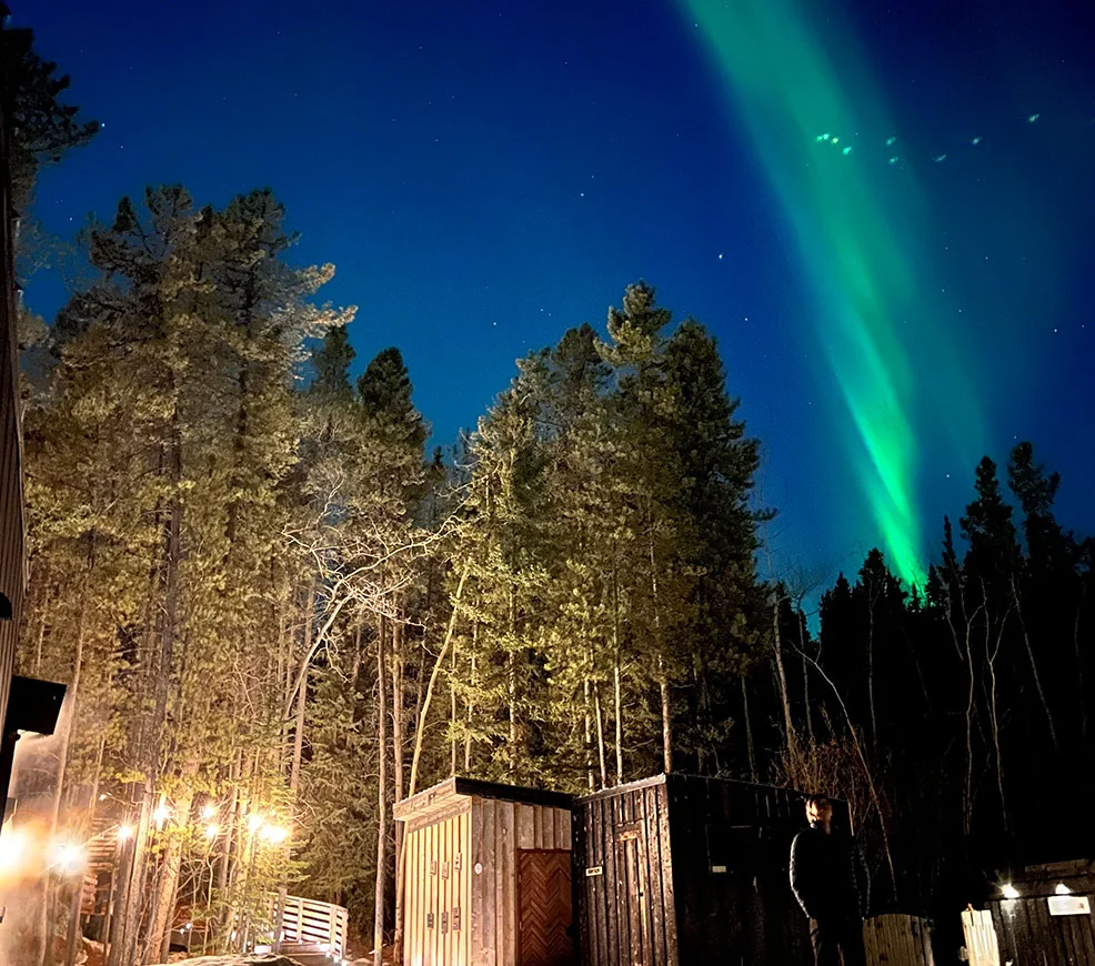 Northern Lights Over Yukon Black Spruce