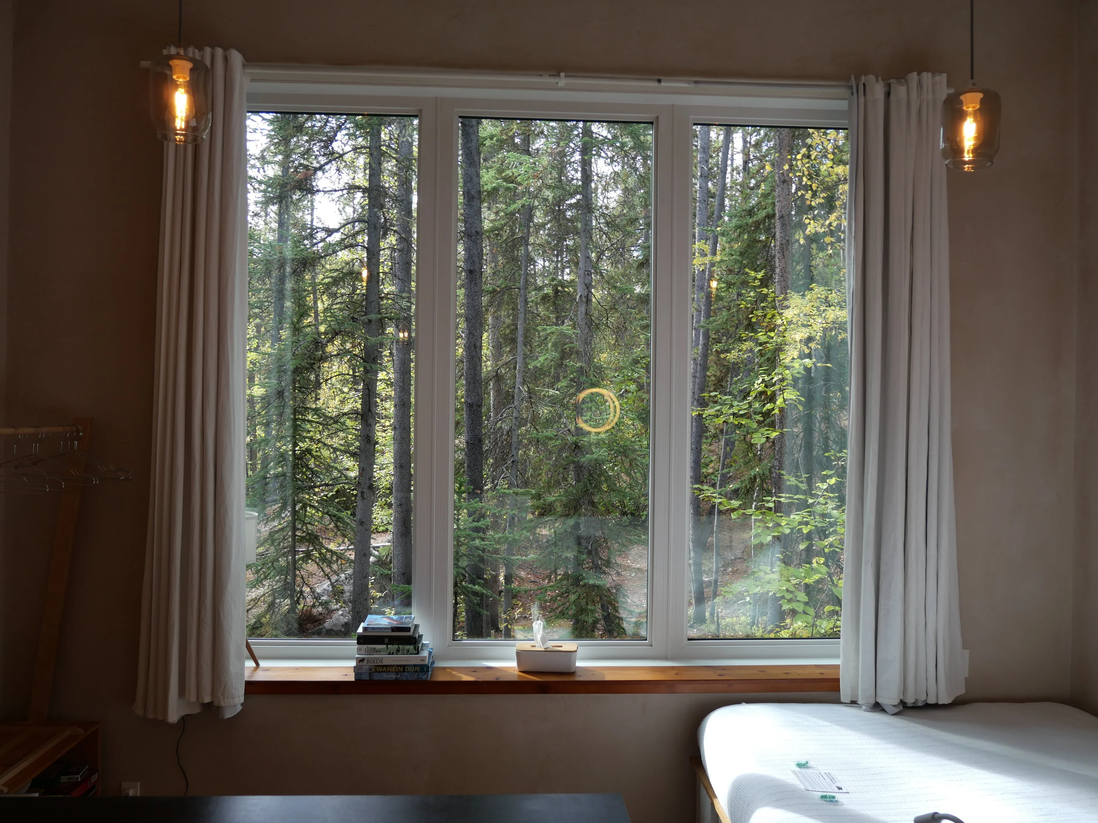 Forest View from Green Door