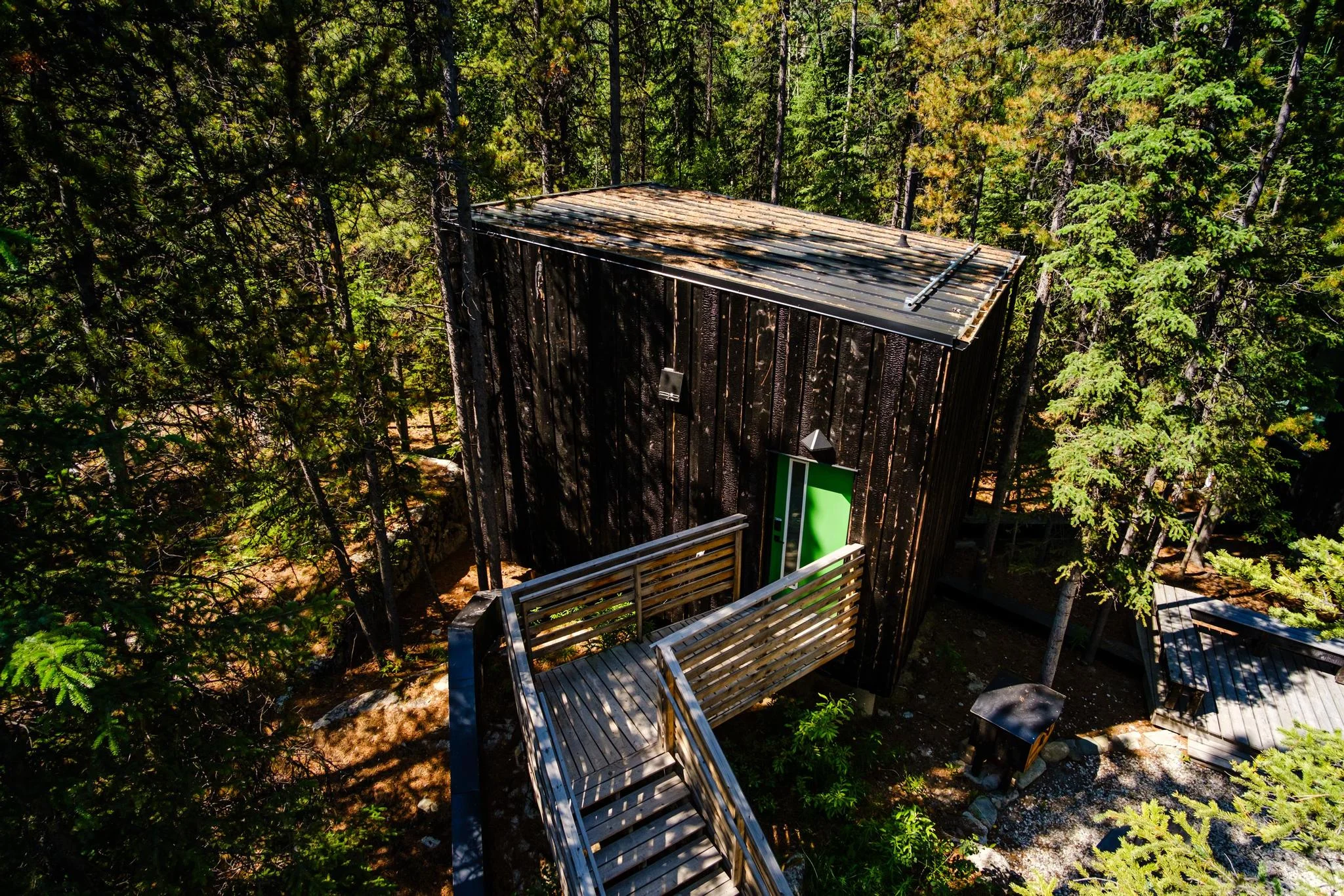 Green Cabin Nestled in the Forest