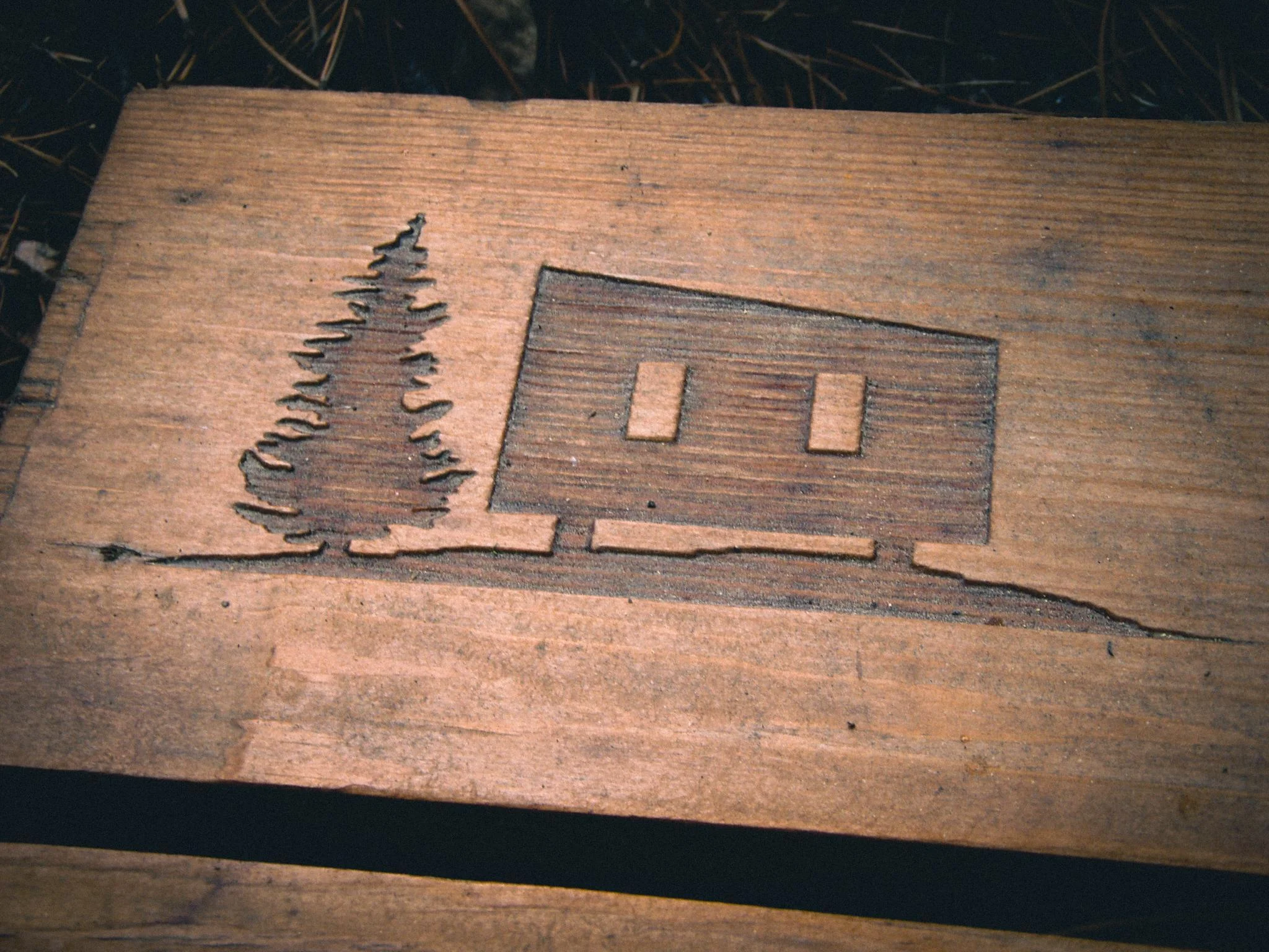 Black Spruce Logo on Wooden Boardwalk