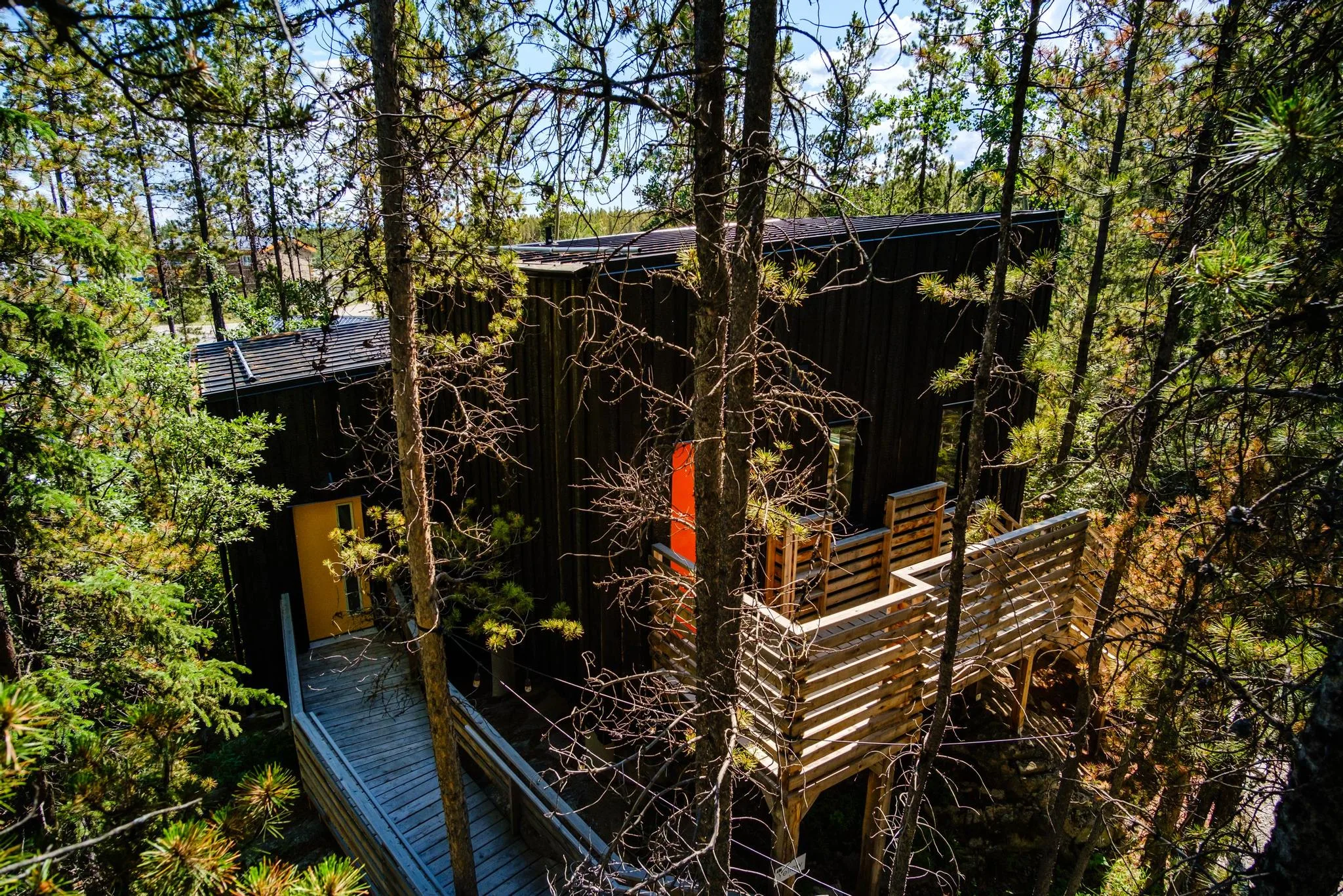 Cabin Architecture Among the Trees