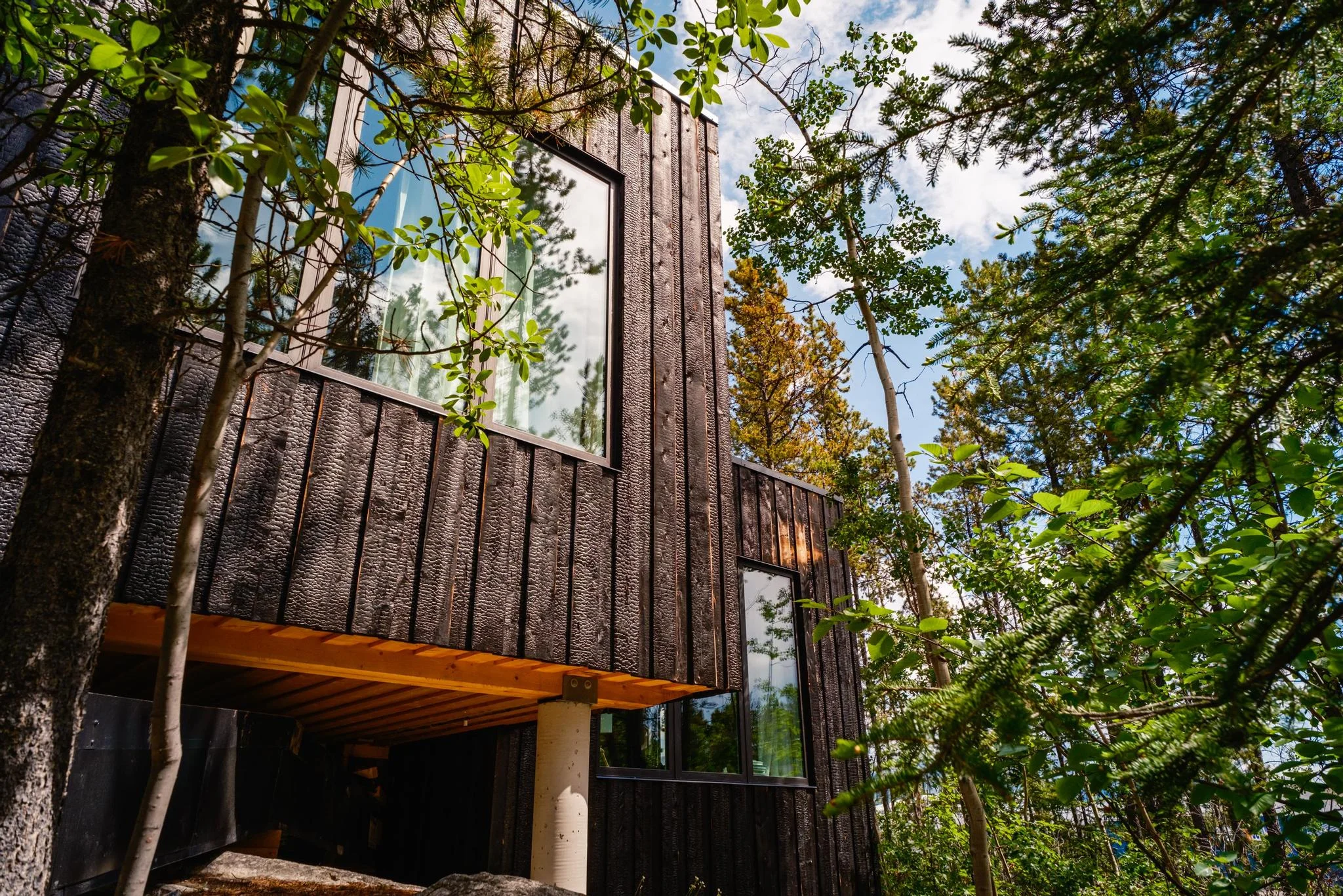 Cabin Exterior Among the Trees