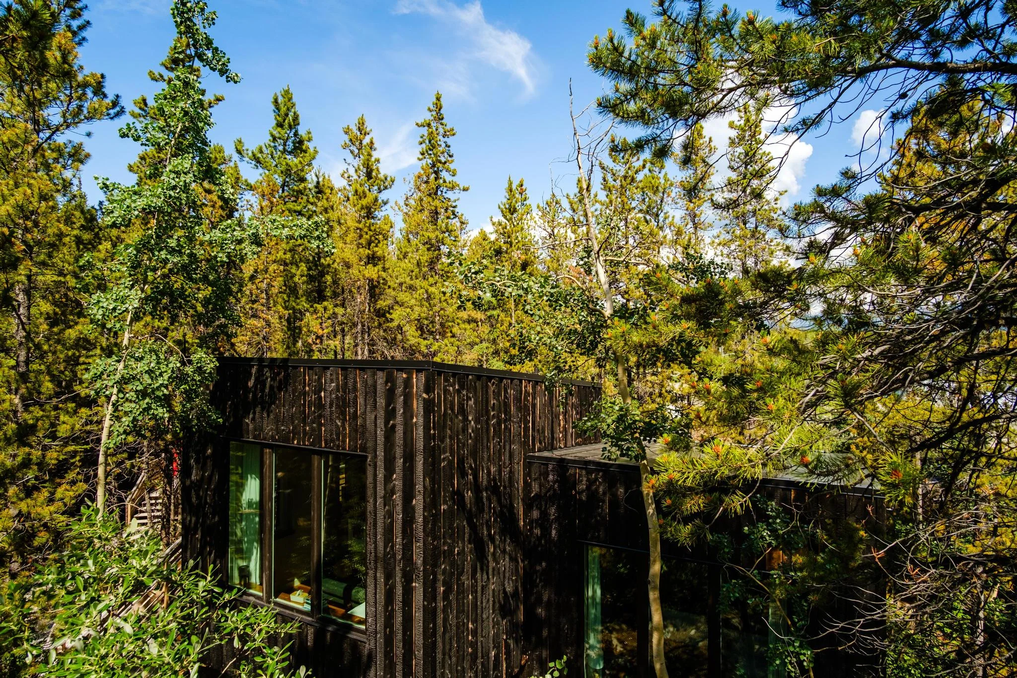 SCabin Nestled in the Yukon Forest