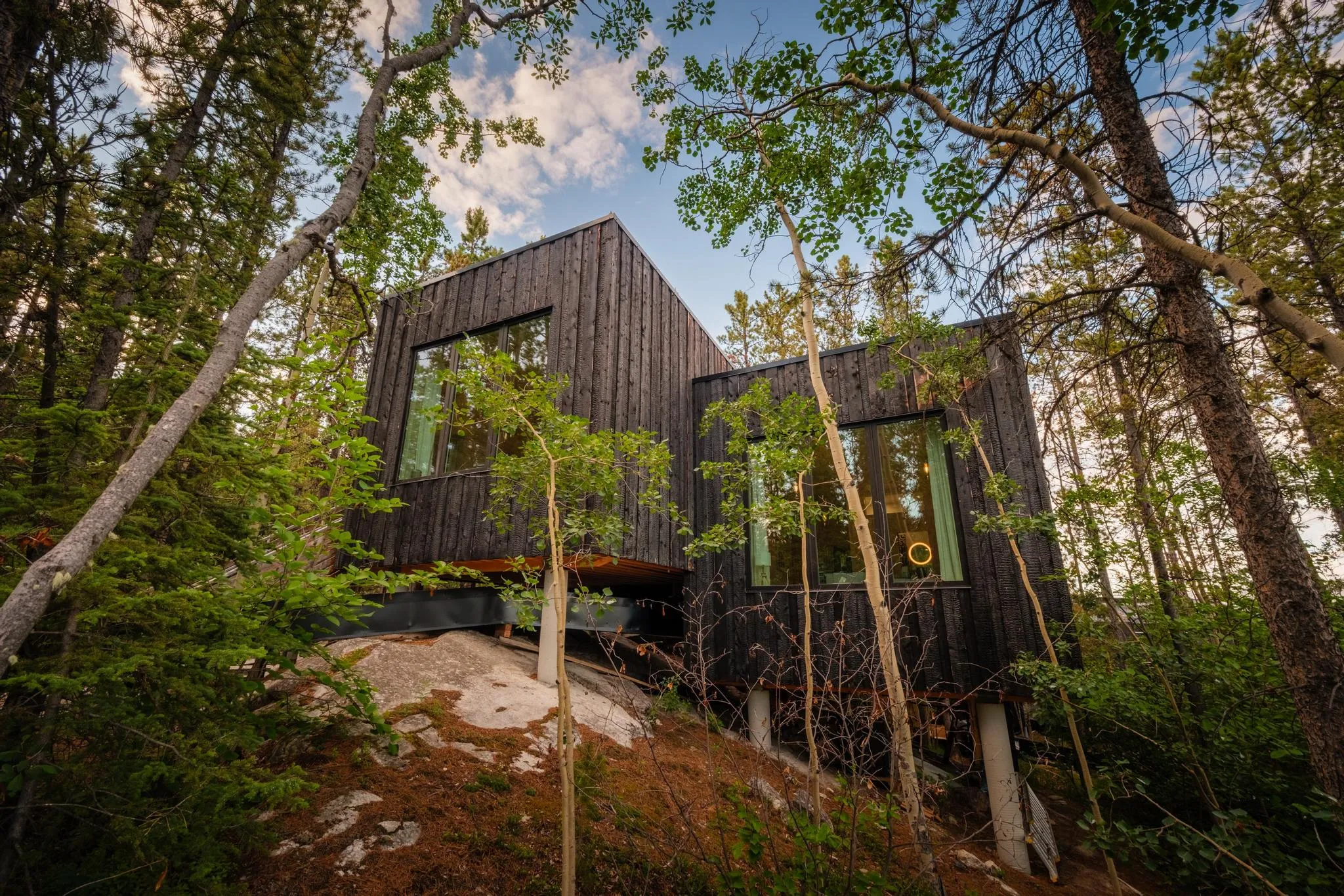 Cabin Surrounded by Yukon Wilderness