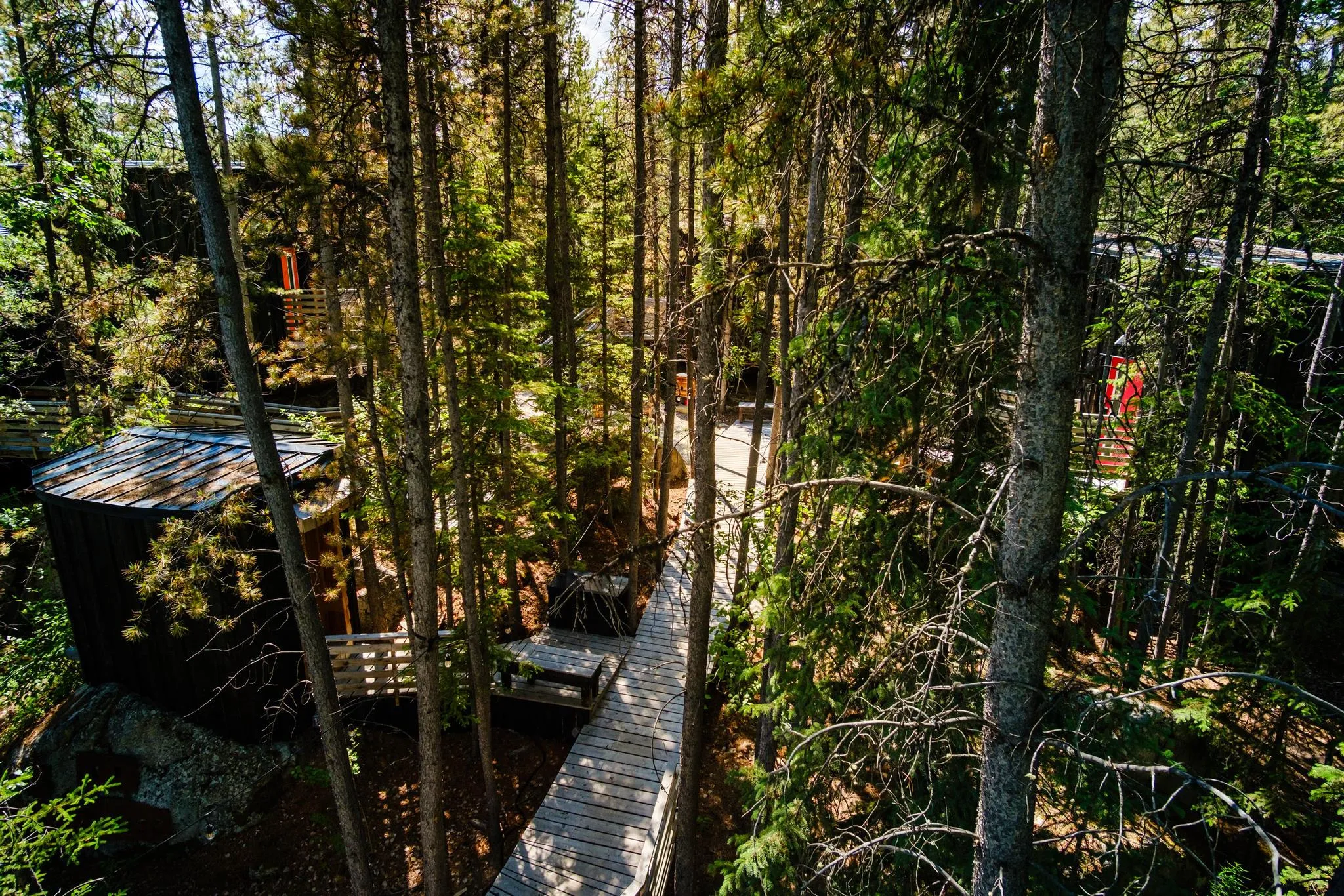 Cabins Nestled Among the Trees
