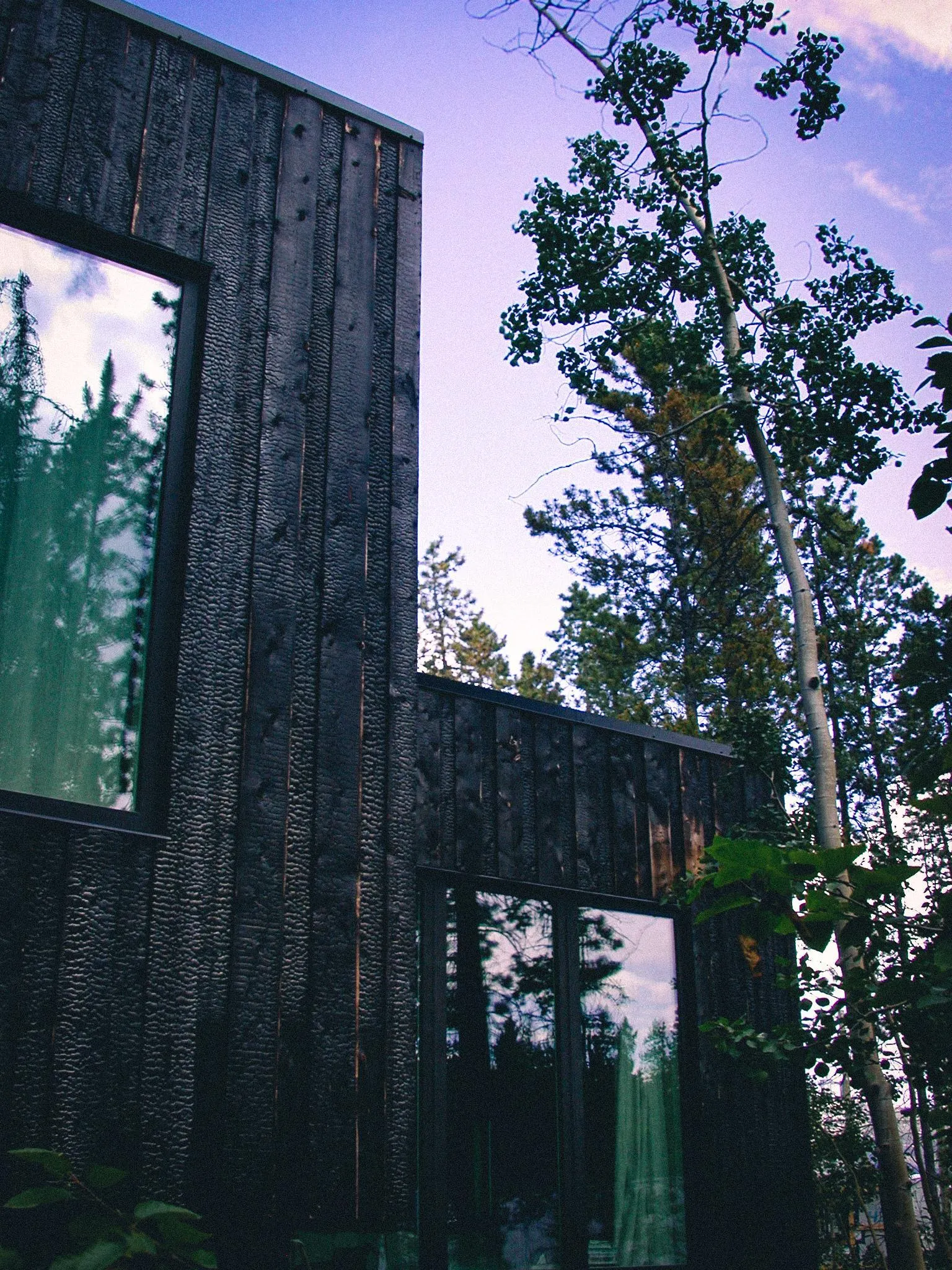 Forest Cabin at Sunset