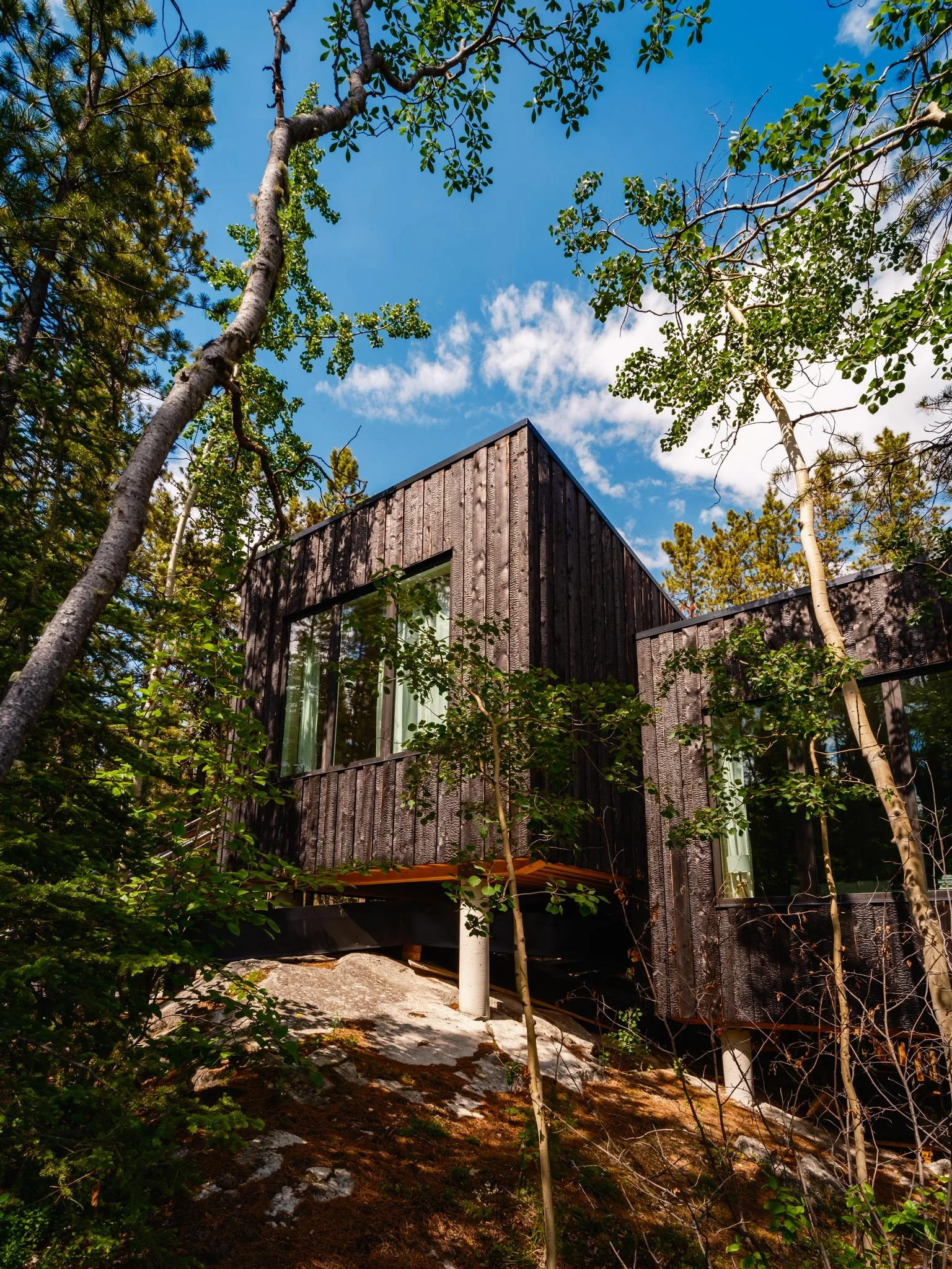 Forest Cabin Beneath Blue Skies