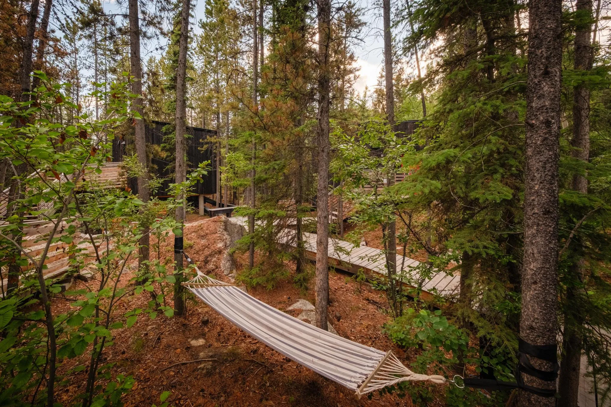 Hammock