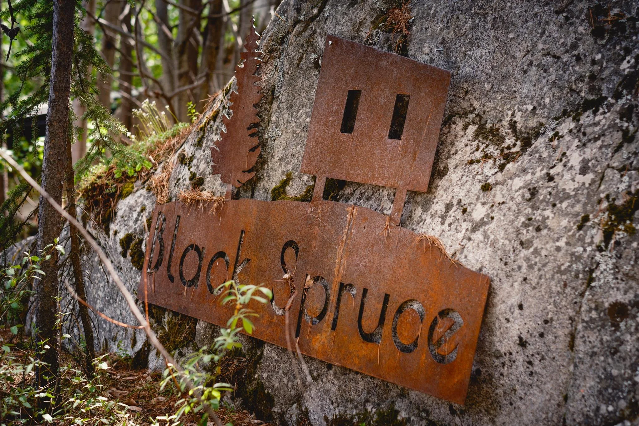 Metal Black Spruce Logo on Rock