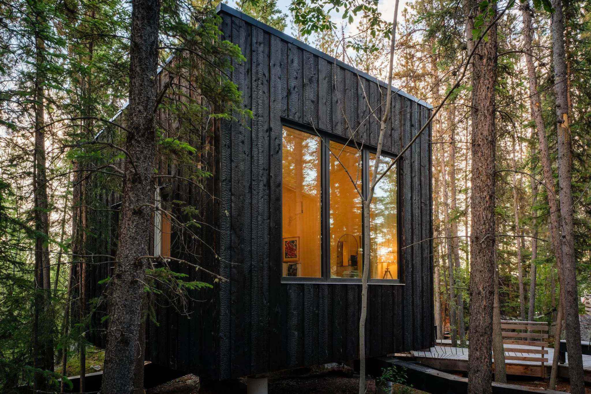 Modern Cabin in a Forest Setting
