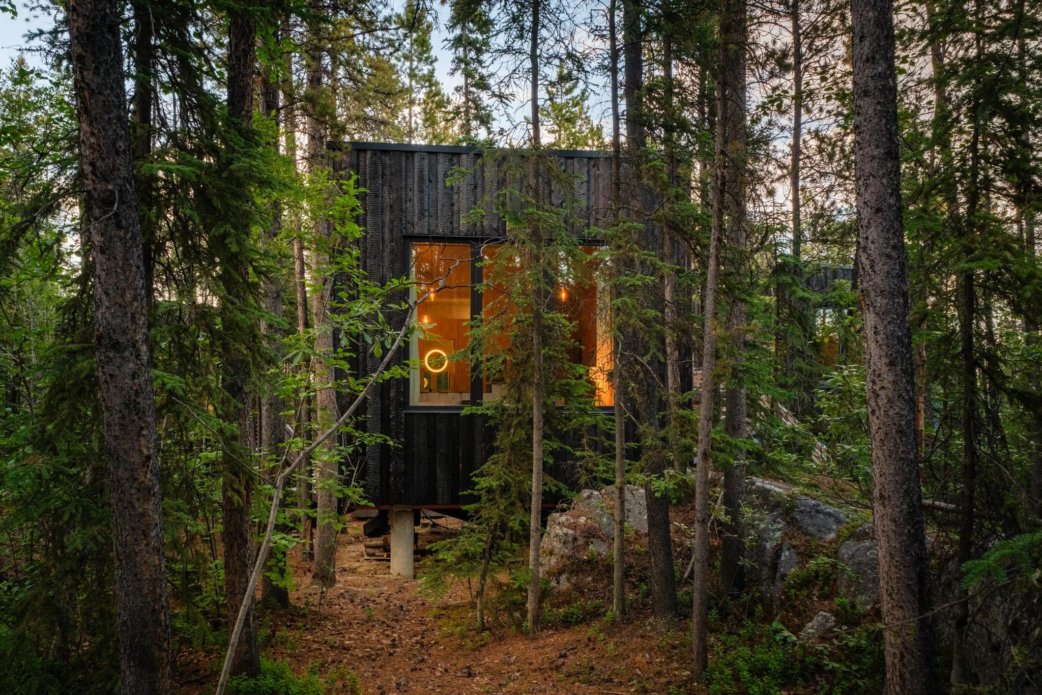 Private Cabin Surrounded by Spruce Trees