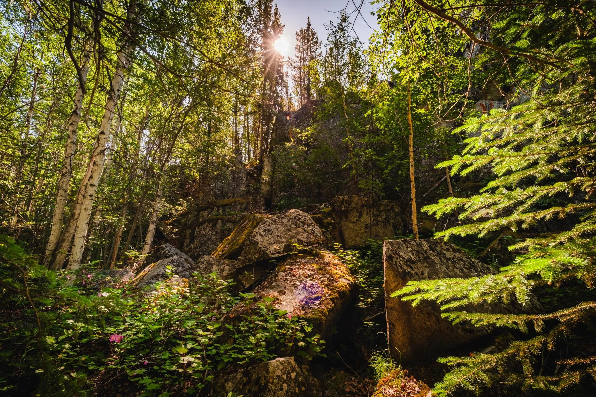 Rocky Forest Cliffs Through the Trees