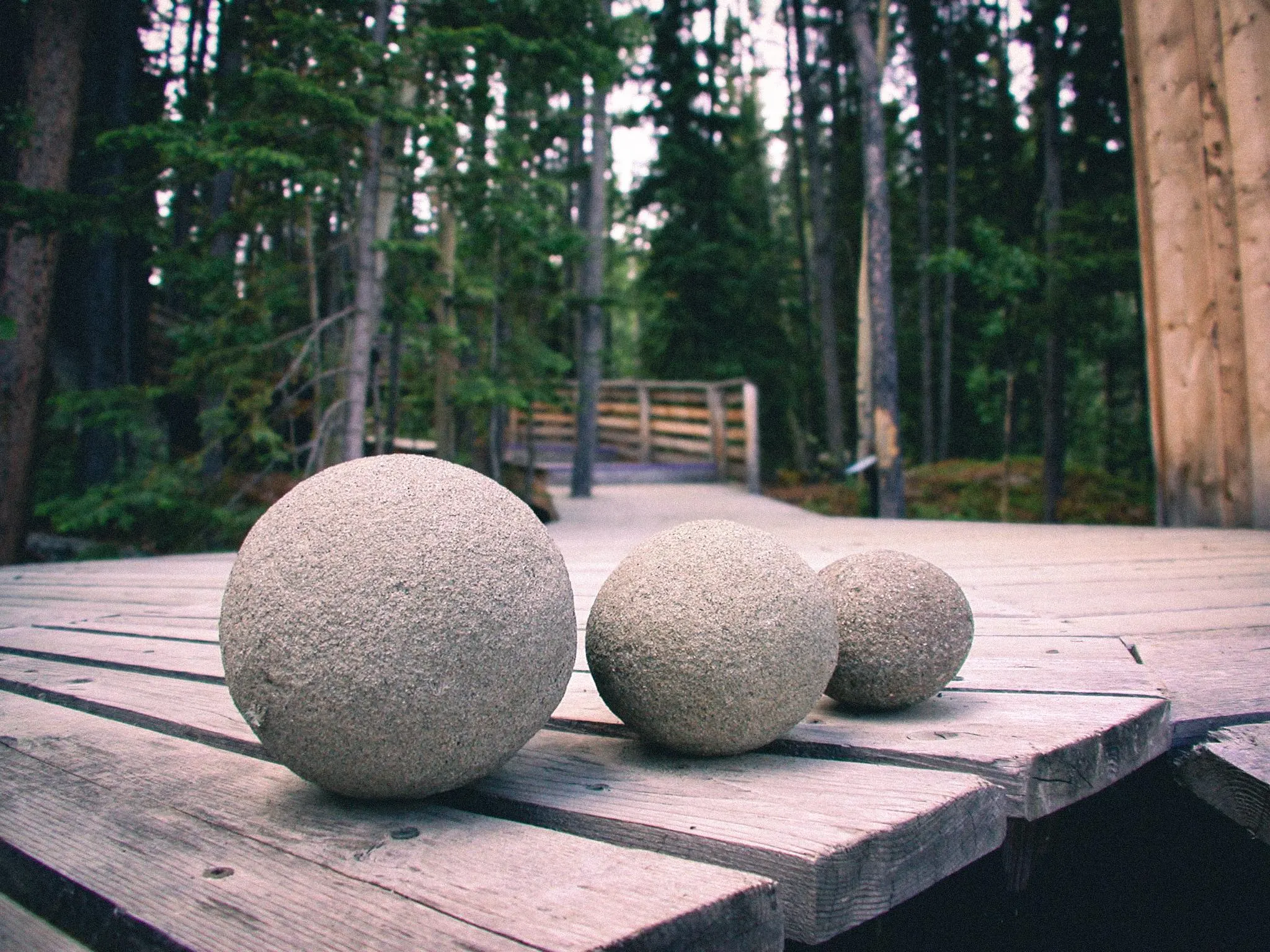 Round Stones on Forest Boardwalk