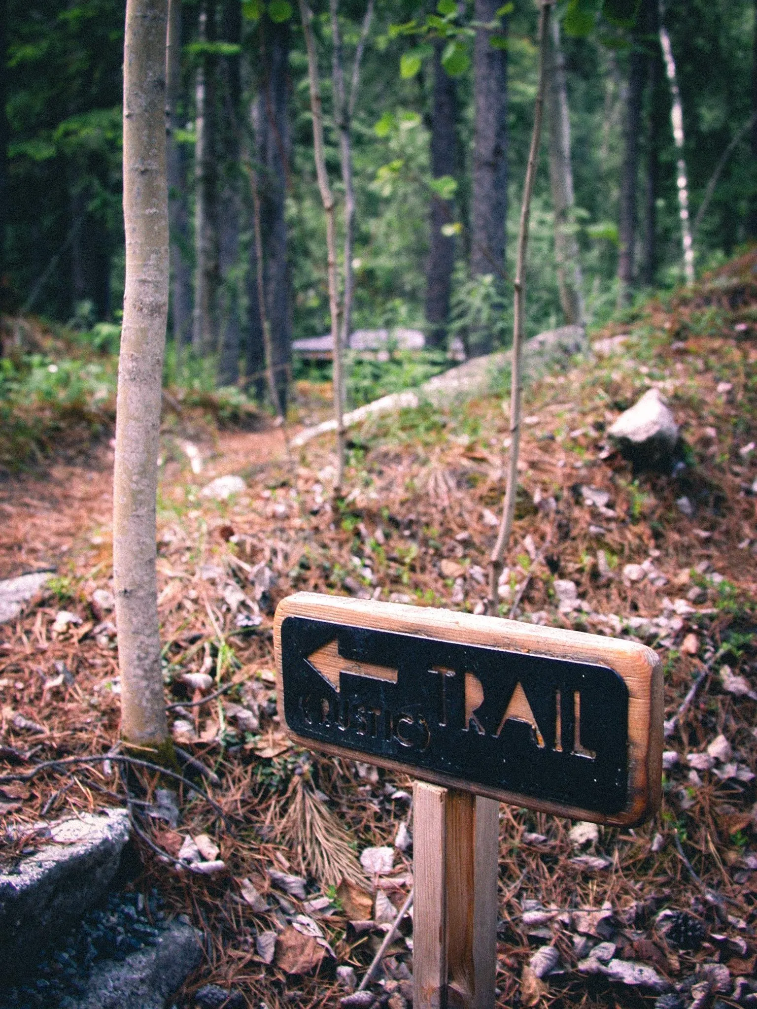 Wooden Trail Sign in the Forest