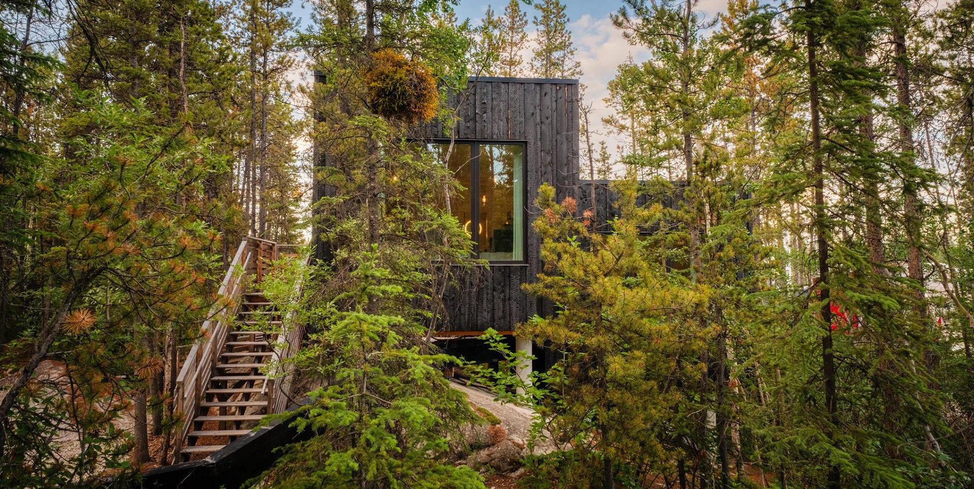 Quiet Forest Setting at Black Spruce