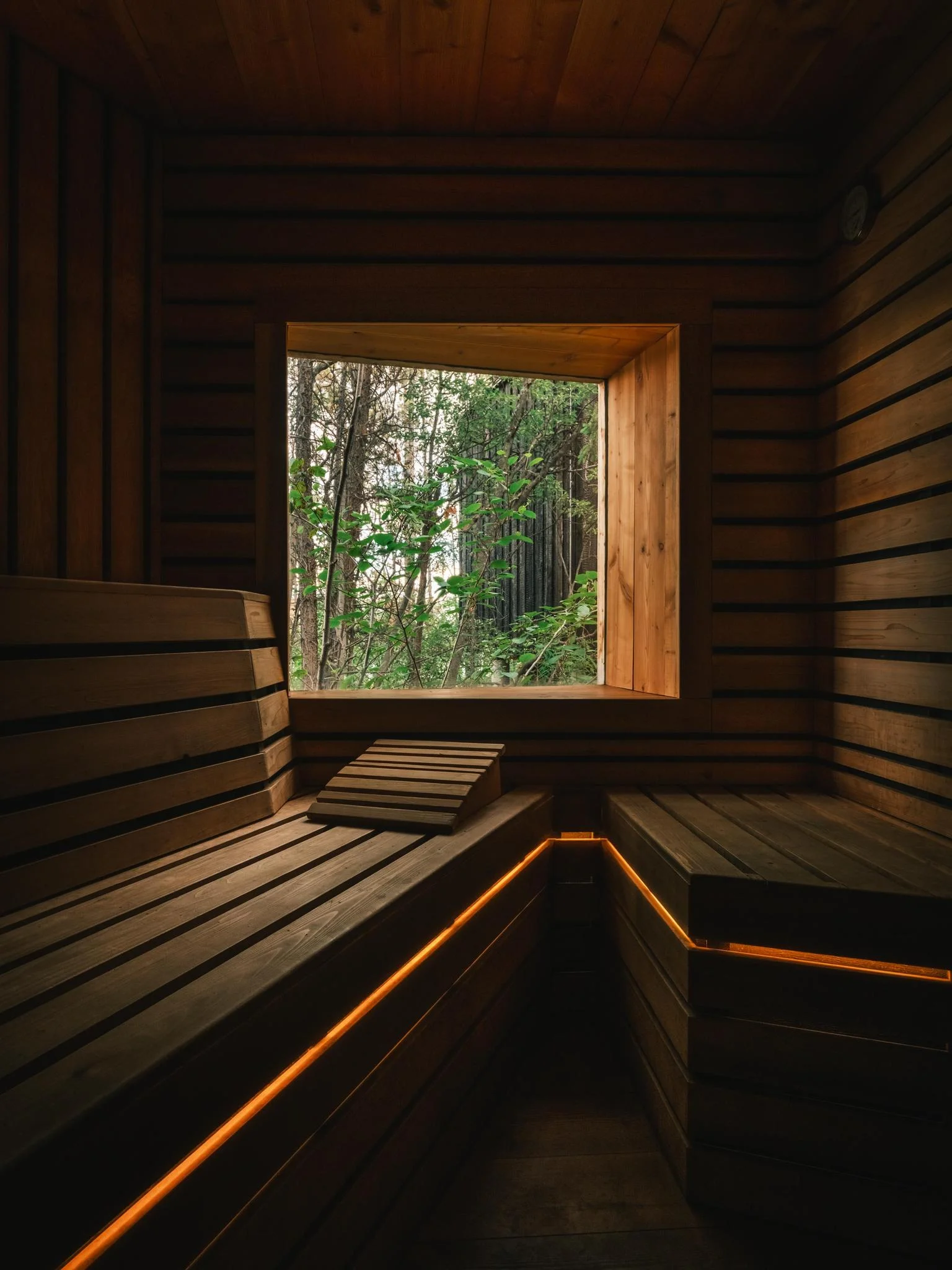 Cedar Sauna Benches with Forest View