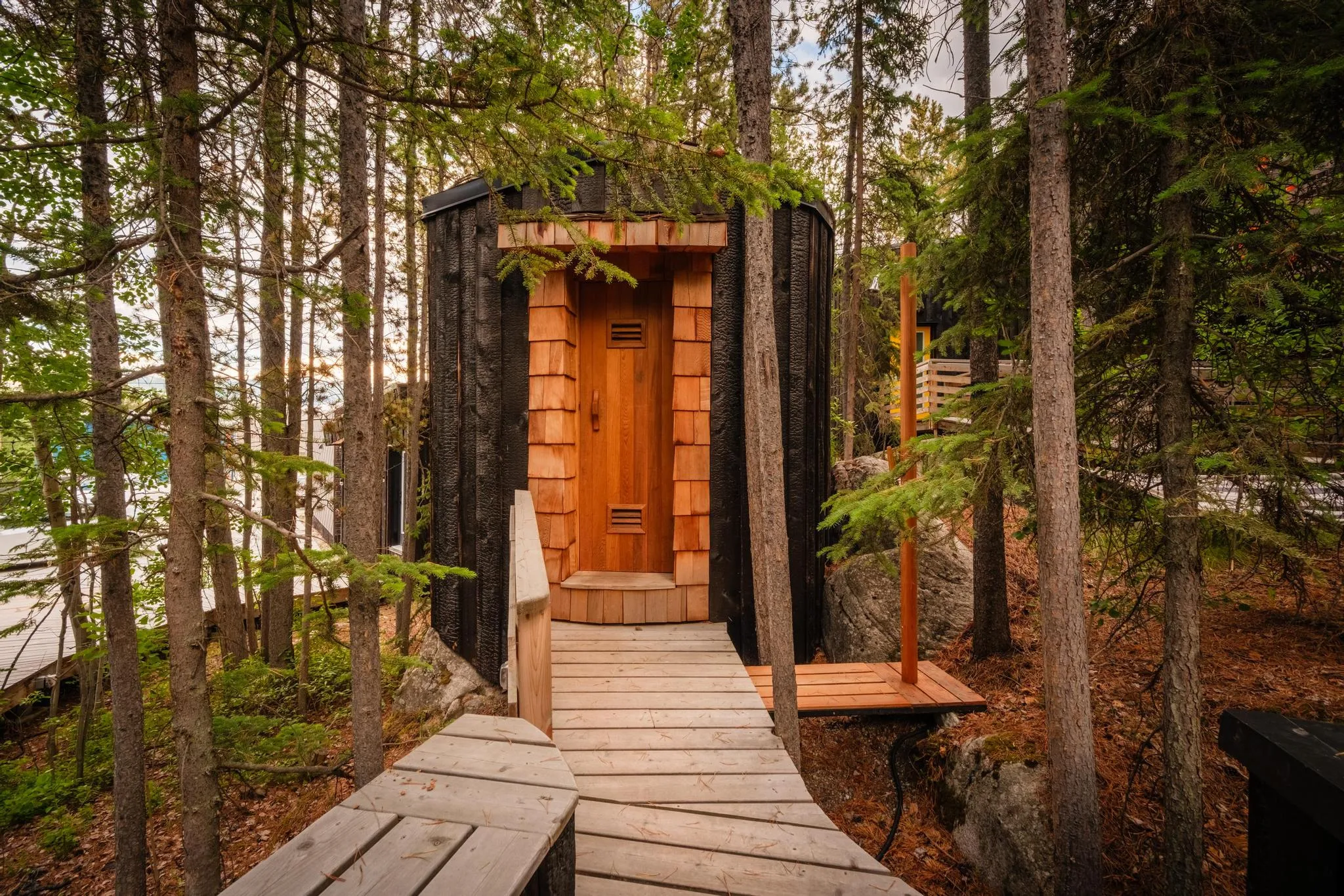 Forest Boardwalk Leading to the Sauna