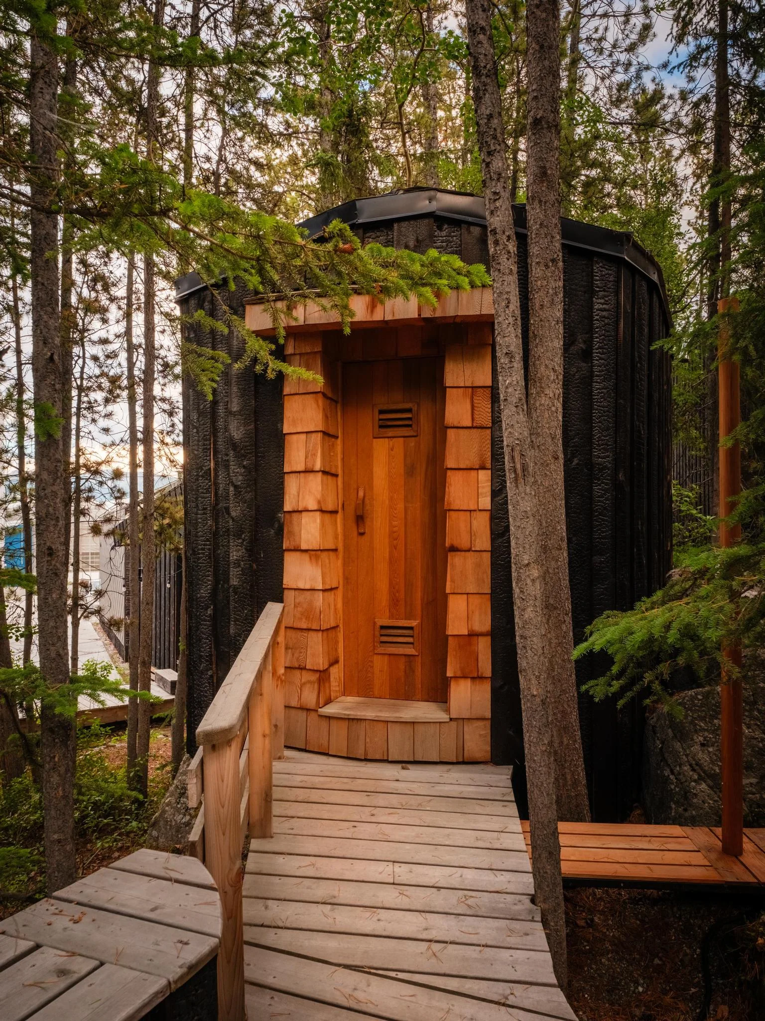 Woodland Sauna Along the Forest Boardwalk
