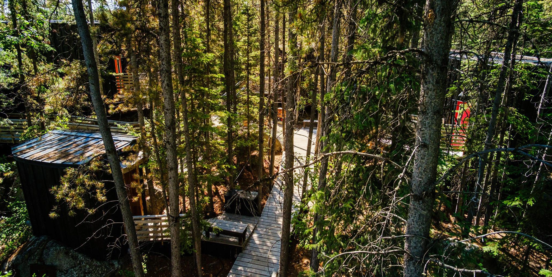 Cabins Nestled Among the Trees