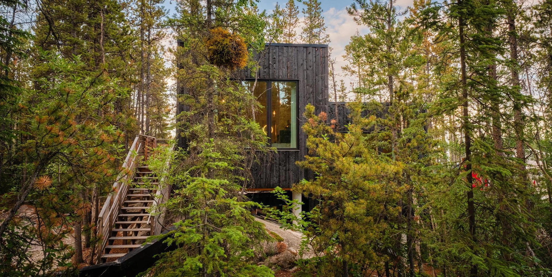 Quiet Forest Setting at Black Spruce