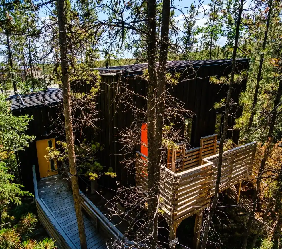 gallery4
