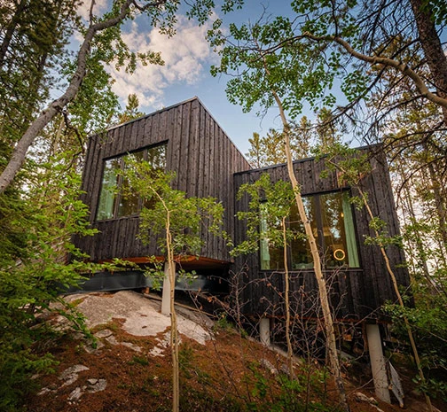 Cabin Surrounded by Yukon Wilderness