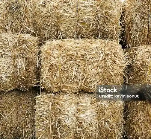 straw-bale