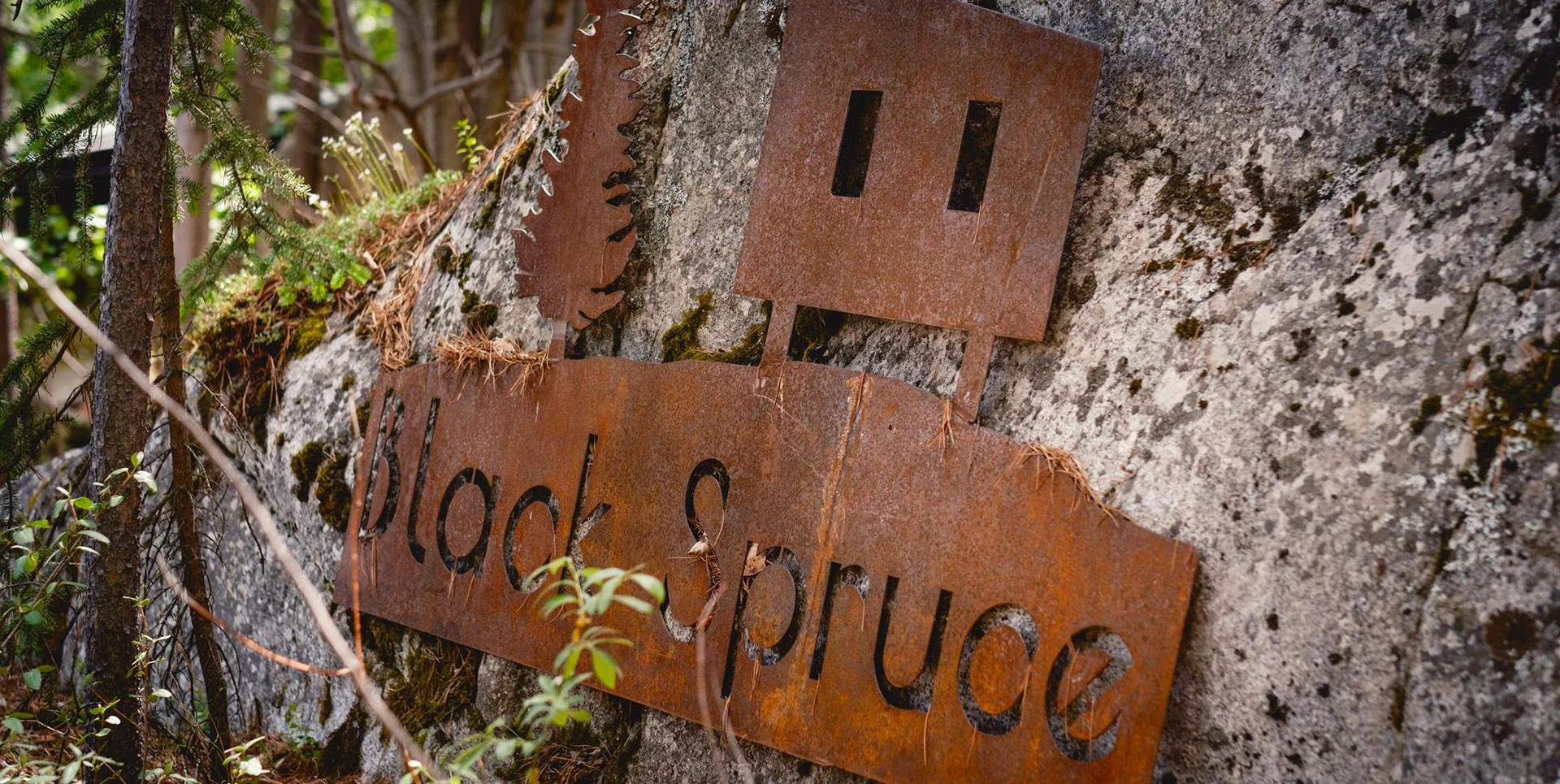 Metal Black Spruce Logo on Rock
